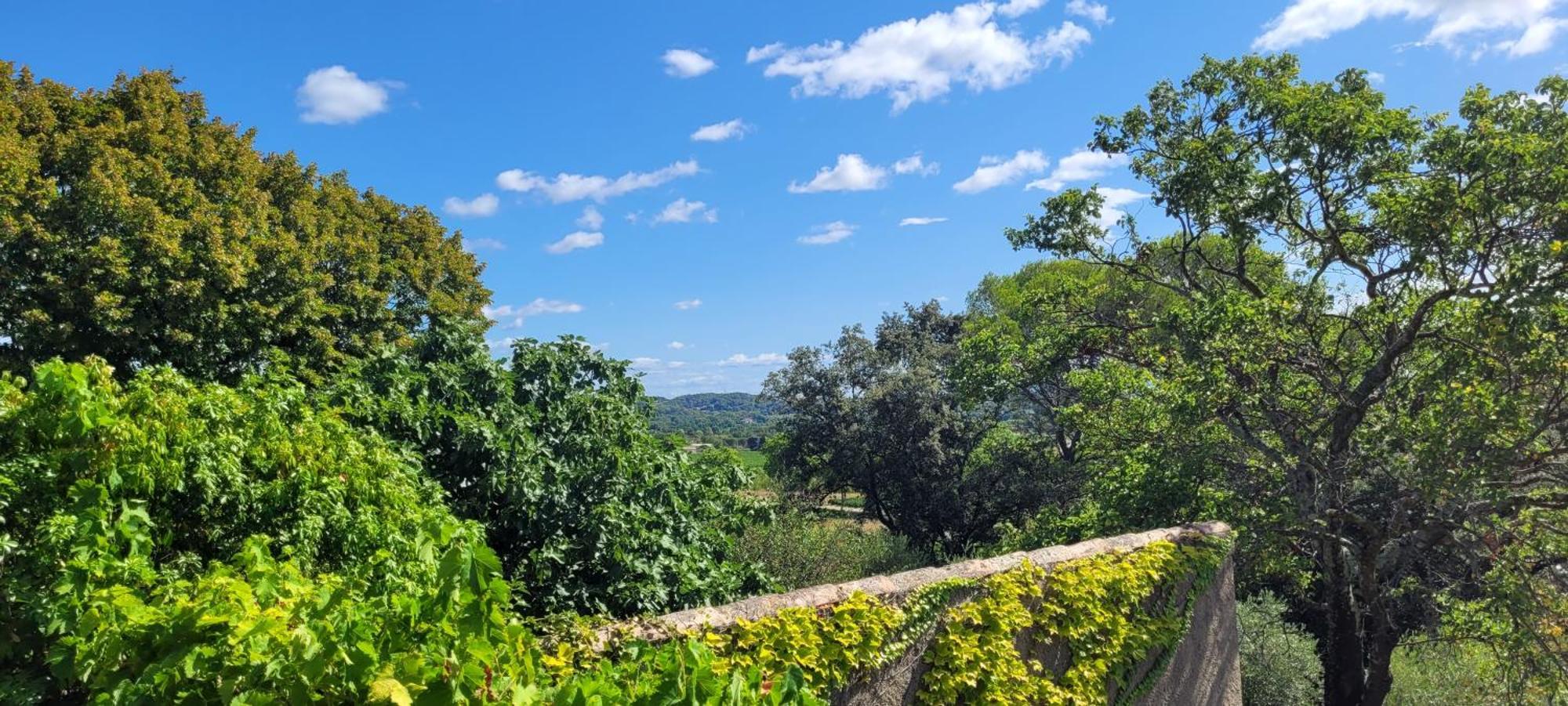 Le Domaine Du Soulier -Gite Et Chambres D'Hotes - La Maison Du Gardien Tornac Bagian luar foto