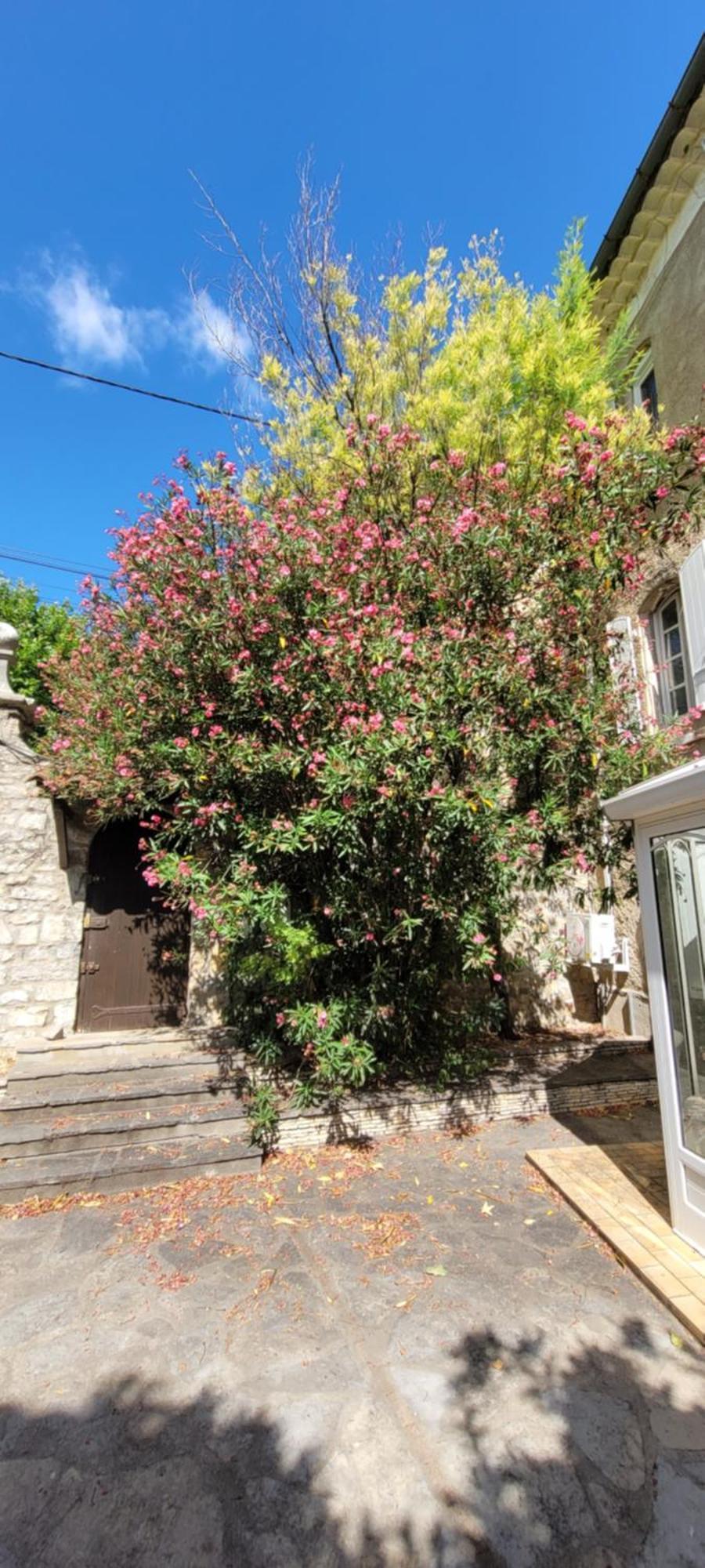 Le Domaine Du Soulier -Gite Et Chambres D'Hotes - La Maison Du Gardien Tornac Bagian luar foto